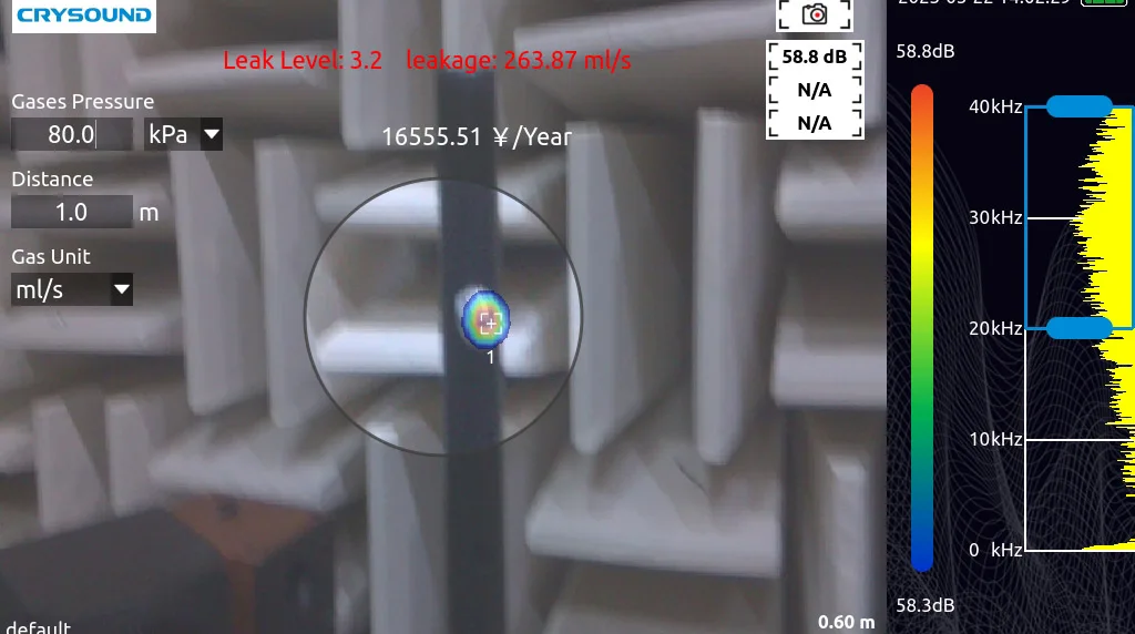 Real-Time Leak Assessment